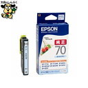 インクカートリッジ ICLC70 ライトシアン EPSON