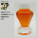 しんぷくオリジナル インク工房 万年筆用 ボトルインキ 快速なのはな(Z)