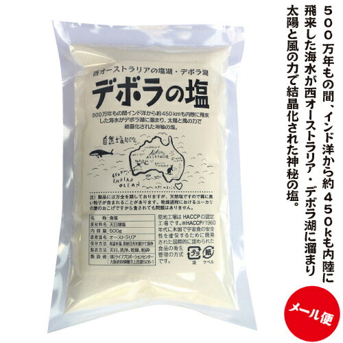 食塩 デボラの塩 450g【メール便でお届けします】送料215円/2袋まで毎自然塩・500万年前の塩の結晶ソルト、岩塩、テーブル塩、ナチュラル塩、オーガニック、自然の恵み デボラ 湖塩