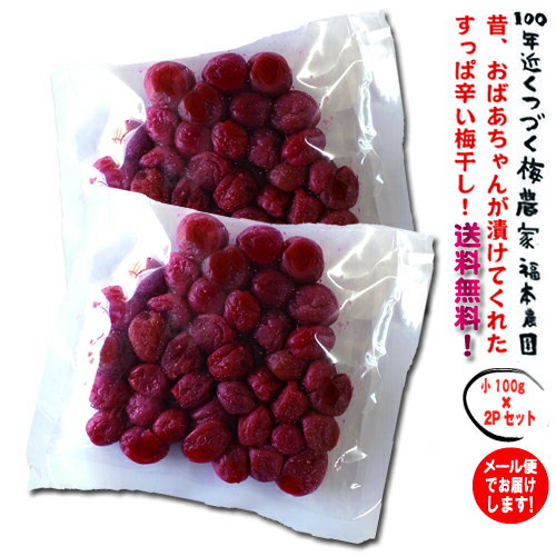 梅干し (小粒・小梅)100g×2パック【1.