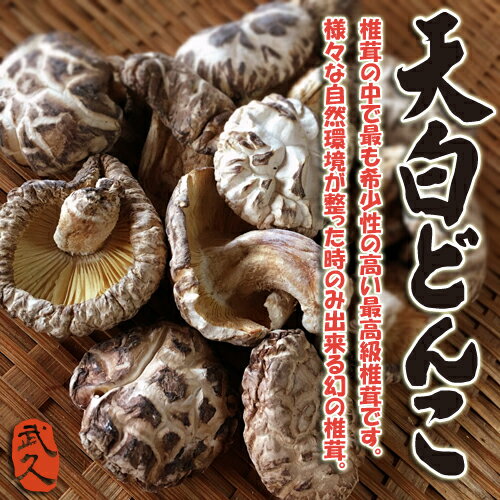 天白どんこ椎茸50g【3袋セット・送料無料】最高級 原木椎茸 九州産花どんこ しいたけ