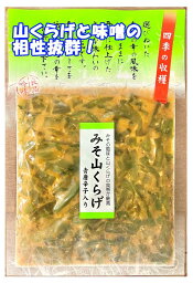 みそ山くらげ　みその風味と山くらげの食感がたまらない！相性が抜群で箸が止まらない！お味噌が食欲をそそります　青唐辛子入りでピリッと美味しい！　松一（まついち）