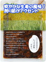 しょうが煮 110g お肉にもお魚にも!美味しい生姜で未来のための体づくり!温活や健康志向の方にぴったり!生姜がぴりっと爽やか!削り節もふわっといい風味!生姜の...
