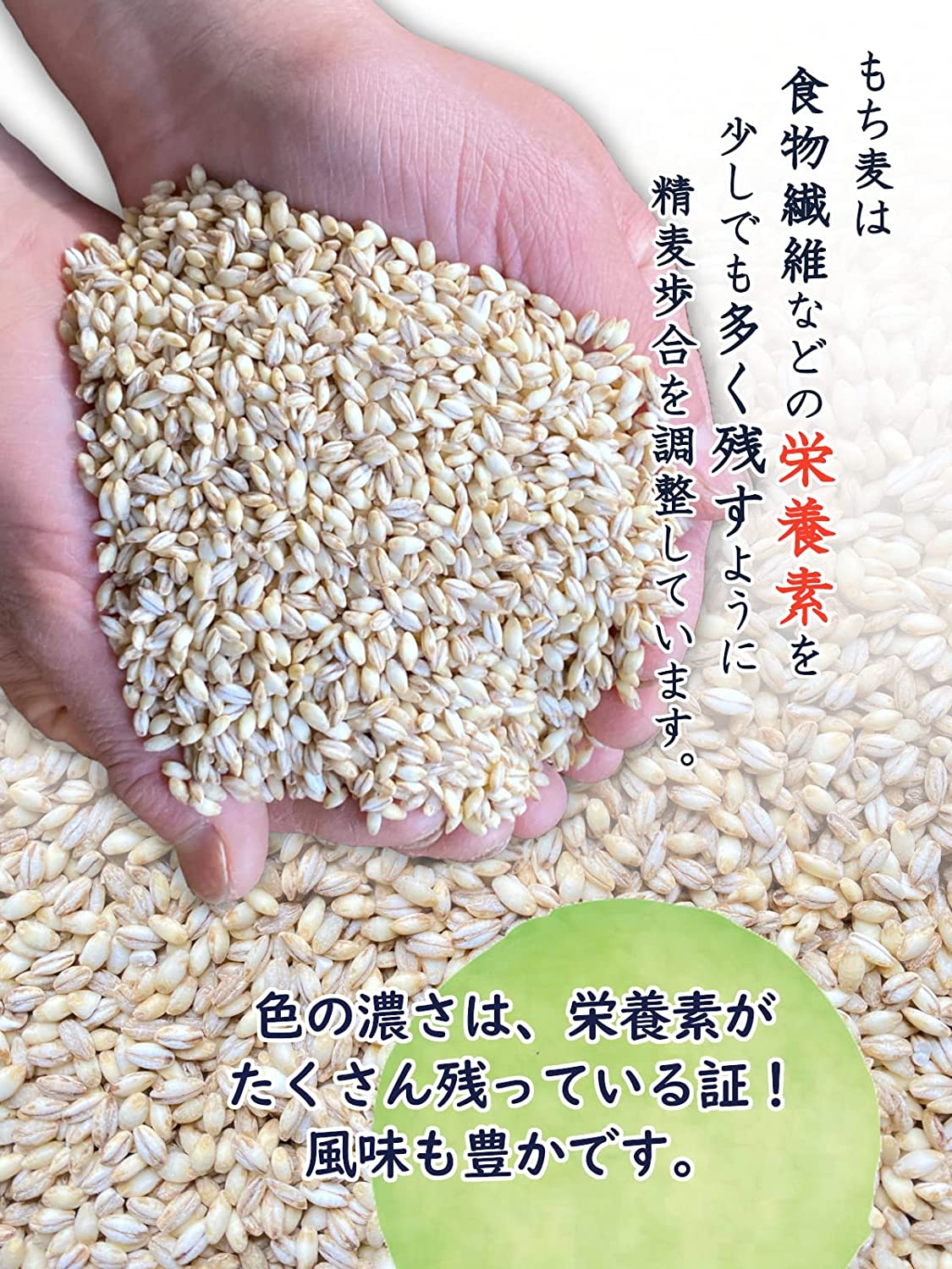 農薬不使用 信州産 もち麦 パックごはん (150g×1パック 3パック 12パック 24パック...