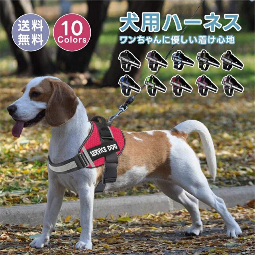【名入れ可】★首に優しい★犬 ハーネス 胴輪 単品 イニシャル 簡単装着 引っ張り防止 抜けない 小型犬 中型犬 大型犬 かわいい 散歩 お出かけ アウトドア 迷子防止 通気性 ナイロン マジックテープ ハンドル付き 気管虚脱対応 格好いい 可愛い 軽い 超軽量 犬の首に優しい