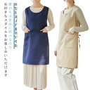 レディース おしゃれ ナチュラル 無地 ワンピース 保育士 かわいい カフェ カフェ エプロン シンプル 美容師 レディース フリーサイズ 北欧 レディース 割烹着 保育士レストラン 料理教室 ケーキ作り 花屋 キッチン ギフト