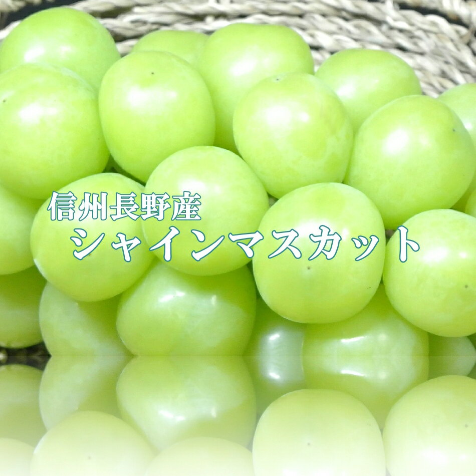 2022年 信州産 長野産 シャインマスカット 2kg秀品3〜5房！ 地元店が 産地直送 でお届け ！