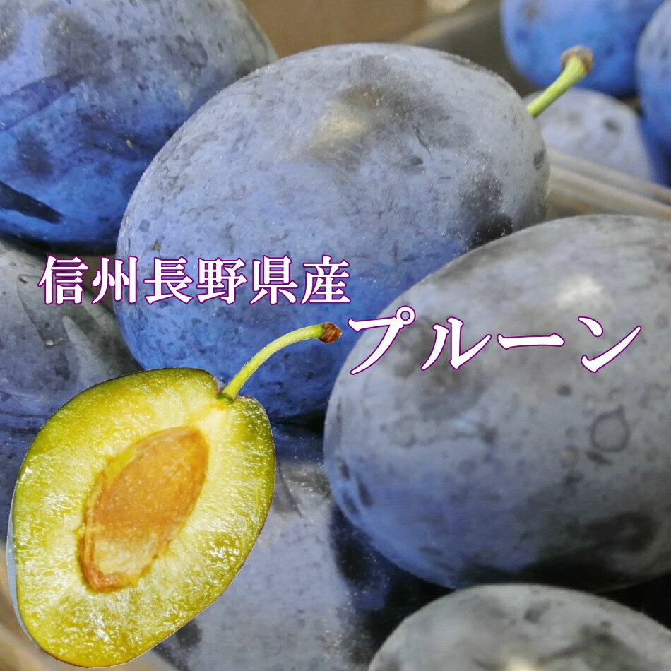 2024年 秀品 3kg 旬の時期に旬をお届け体健康でいこう！信州産 プルーン 長野県産 地元当店より 産地直送のサムネイル