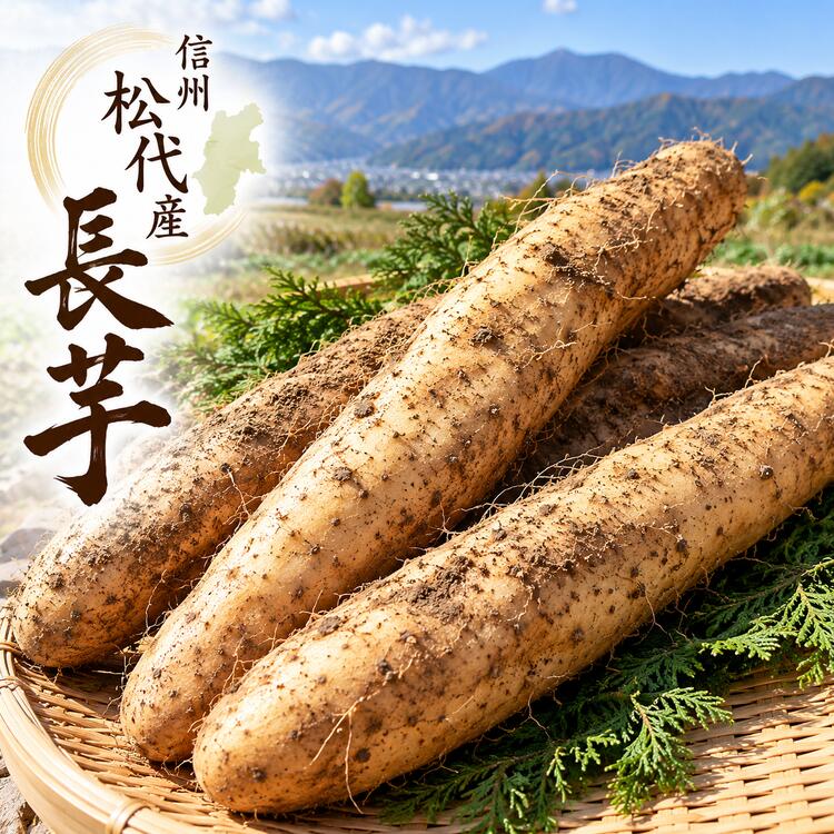 ���� 10kg �󂠂� ���ƒ�p ���쌧�Y �M�B����Y ������ �Ȃ����� �R�� �Ƃ��� ���Y ������ ��� ���� �c