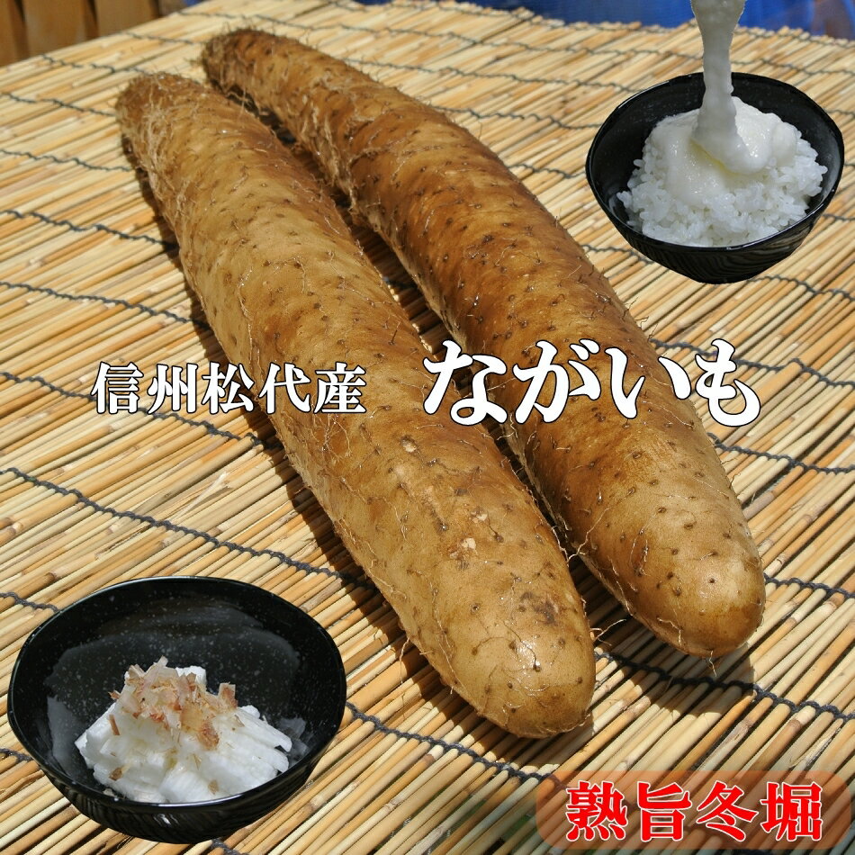 信州松代産長芋！山芋！食欲増進健康長いも！【5kg上品ご家庭用長いも3〜4本!