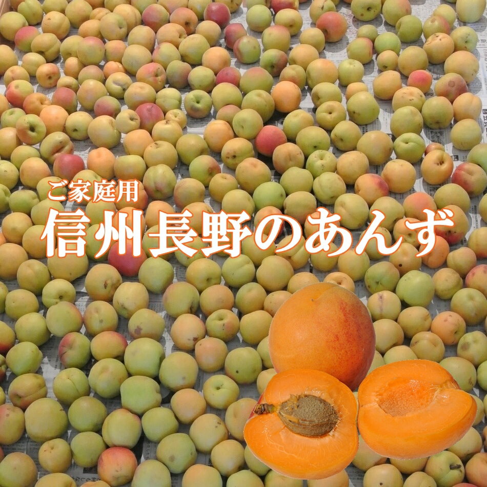 予約【2024年産】信州長野の生あんず6キロ地元店産地直送ご家庭用生あんず