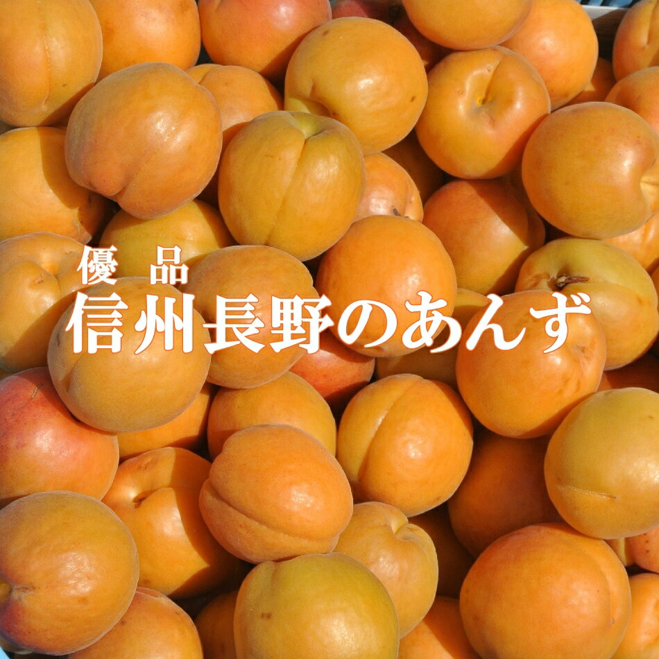 予約【2024年産】信州長野の生あんず4キロ地元店産地直送 優品 生あんず 送料無料 