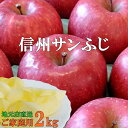 糖度13度前後！信州サンふじりんご2kg！産地直送サンふじりんご 長野県産 信州産さんふじ リンゴ