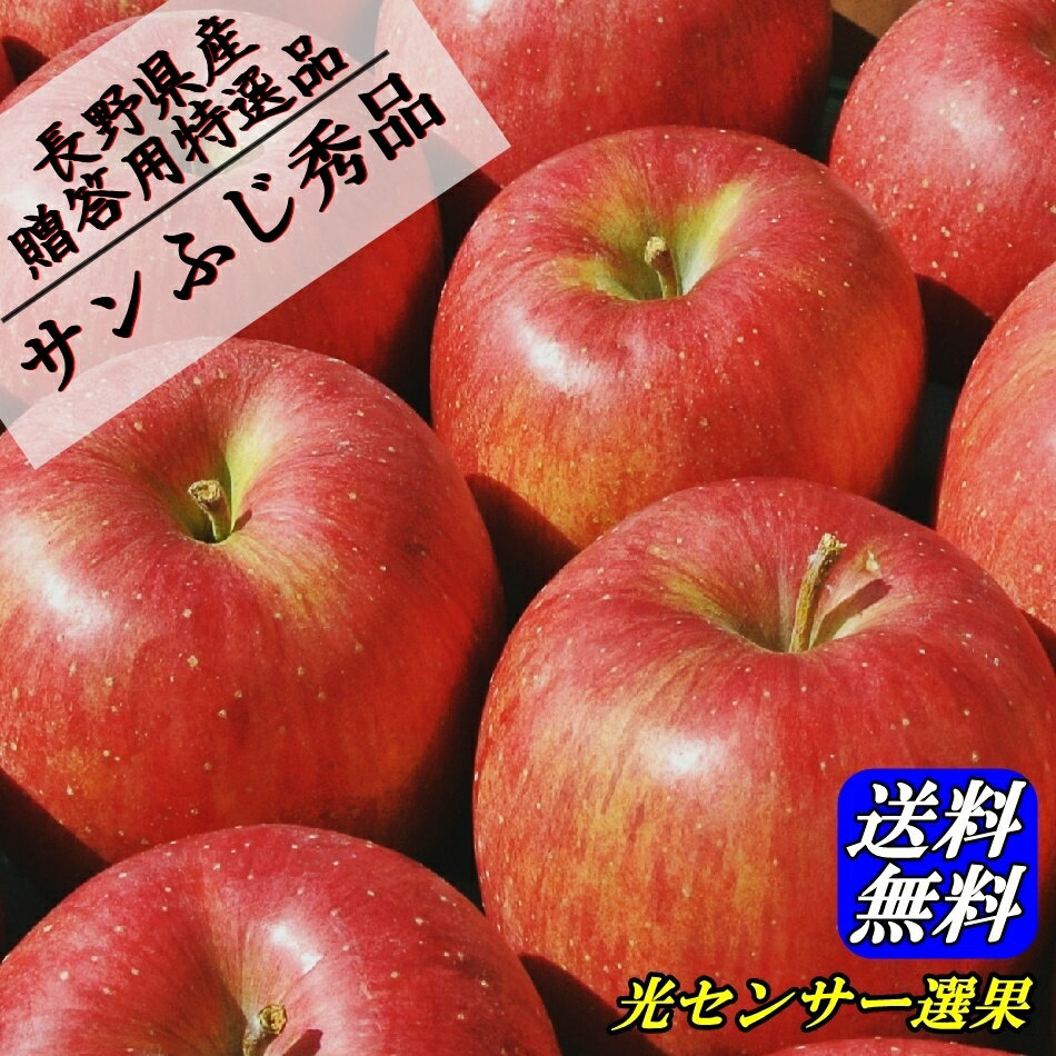 糖度13度以上ご贈答に！信州りんご【サンふじ】秀品5kg！産地直送サンふじりんご！光センサー選果！　長野県産 信州…