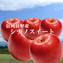「ご家庭用」信州長野本場からシナノスイートりんご10kg!農園直送りんご!