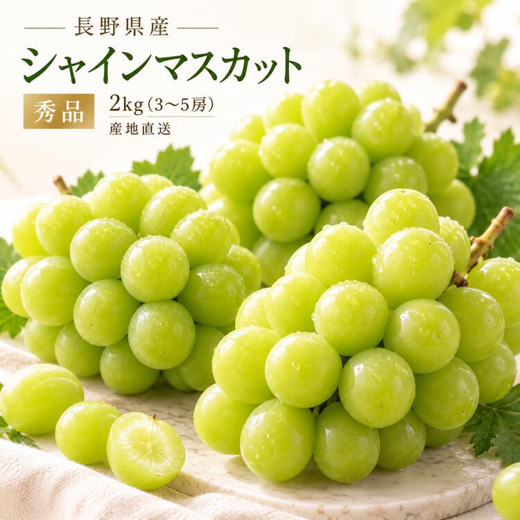 シャインマスカット 長野県産 秀品 ぶどう 1kg 2kg 5kg 選べる内容量 産地直送 送料無料 種なし 皮ごと食べられる 甘…
