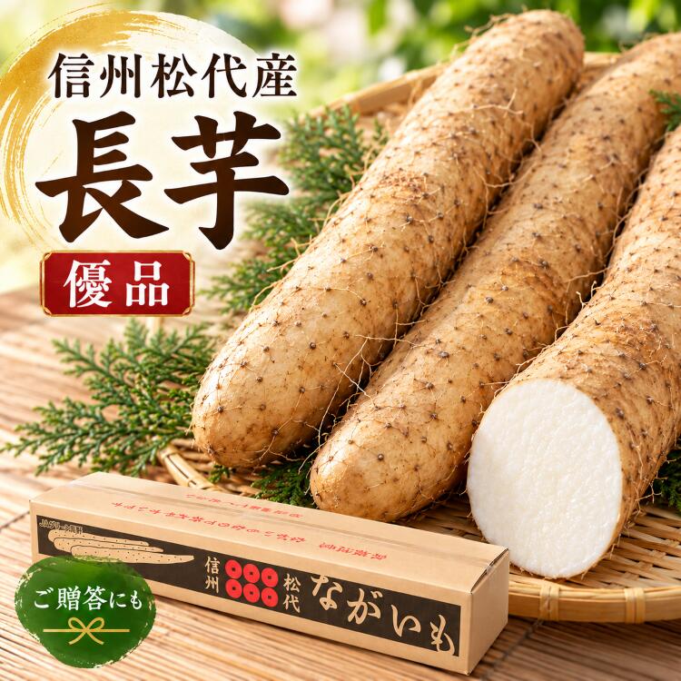 商品情報名称長芋・山芋産地長野県松代産内容量10kg保存方法直射日光を避け常温で保存長芋 長いも 長イモ 10kg 長野県産 信州松代産 優品 贈答用 ギフト ながいも 山芋 国産 秋掘り 新物 とろろ芋 とろろご飯 粘り シャキシャキ お取り寄せ 野菜 根菜 お歳暮 御歳暮 冬ギフト 信州里ものがたり 信州松代の豊かな土壌で育った長芋優品！粘りのあるとろろ、シャキシャキ食感の短冊切りも絶品。ご自宅用から季節の贈り物・お歳暮までおすすめ！ 日本の美味しいものの代名詞に使われるほど「ながいも」は貴重なもの ながいもは粘りとサクサクとした歯ごたえが特徴で、デンプン分解酵素のアミラーゼやタンパク質、ミネラルを多く含みます。漢方では（さんやく）といって、糖尿病や、滋養強壮に効くとされる（はちみじおうがん）」の成分でもあります。また、子どもの成長に必要なアミノ酸のアルギンも、ビタミンCやB群とともに含まれており、特に生食でのタンパク質の含有量は、野菜の中で一番豊富です。え？　なに？　ネバネバが気になる？だって長芋ですもん。 店長のおかざわです。長野市松代地区は畑にあふれる土の香 収穫のピークをむかえた松代町岩野地区のながいも畑におじゃましました。昔はこの太くて長いながいもを掘り出すのがとっても大変な作業だったといいますが現在は、バックホーを使って、簡単に掘り出すことができるのです。このバックホーで、イモとイモの間を1メートルほど掘り、スコップで土を崩しながら傷つけないようにながいもを掘り出していきます。掘り出したばかりのながいもは土の香りでいっぱい。土を触れてみると、サラッとしていて石や礫がひとつも混ざっていません。そんな土壌で作られるながいもだからこそ、甘くて粘りのある美味しいながいもができるのでしょうね。切り口が変色しても問題なし　ながいもを切ったりすったりして、空気に触れると酸化して褐色に変化することがありますが、その部分を切り取れば食べるには何ら問題はありません。変色を防ぐには皮をむいたらすぐに酢水につけておくといいでしょう。長芋は長期保存できるので、ご家庭の食卓にも、また贈答用にも大変に重宝されています。店長は長芋大好き人、色々な料理で食べて健康！健康！ 収穫開始後2〜3営業日で発送します。1