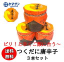 【送料無料】つくだに唐辛子　佃煮とうがらし　170g×3本セット　ごはんのお供　ごはんに合う