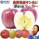 予約 長野県産 りんご サンふじ 訳あり 5kg 箱 10kg 箱 【お買い得品】5キロ 10キロ 送料無料 さんふじ サンフジ リンゴ 林檎 家庭用 長野 信...