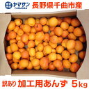 生あんず 加工用 5kg箱 長野県千曲市産【予約 7月上旬〜7月中旬出荷】 令和5年度産【送料無料】 ...