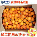 レビュー高評価 予約 生あんず 1.5kg または 3kg 2025 長野県千曲市産 加工用【6月下旬~7月中旬出荷】 令和7年度産 【千曲市の直売所から直送】...