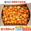 レビュー高評価 予約 生あんず 1.5kg または 3kg 2025 長野県千曲市産 加工用【6月下旬〜7月中旬出荷】 令和7年度産 【千曲市の直売所から直送】 送料無料 クール便 訳あり ご家庭用 信州あんず 杏 杏子 アンズ ジャム 1.5キロ 3キロ 産直市場ヤマサン 2,890円
