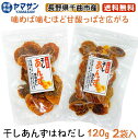 【送料無料】長野県千曲市産 干し杏 はねだし 120g 2袋入り あんず 杏 干しあんず 国産 ドライフルーツ 産直市場ヤマサン その1