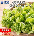 【送料無料】春の味覚 長野県産 天然ふきのとう 約200g 天ぷら ふきみそ 炒め物