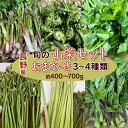 2024年出荷中 長野県産 山菜セット 3〜4種類 おまかせ 【送料無料】　2〜3人分・約400〜7 ...