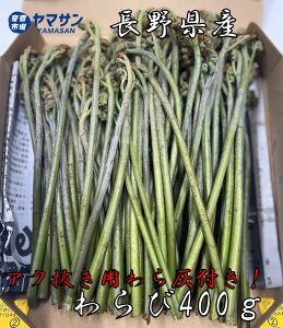 【送料無料】長野県産 蕨 わらび 山菜 アク抜き灰付き 400g おひたし ごはん