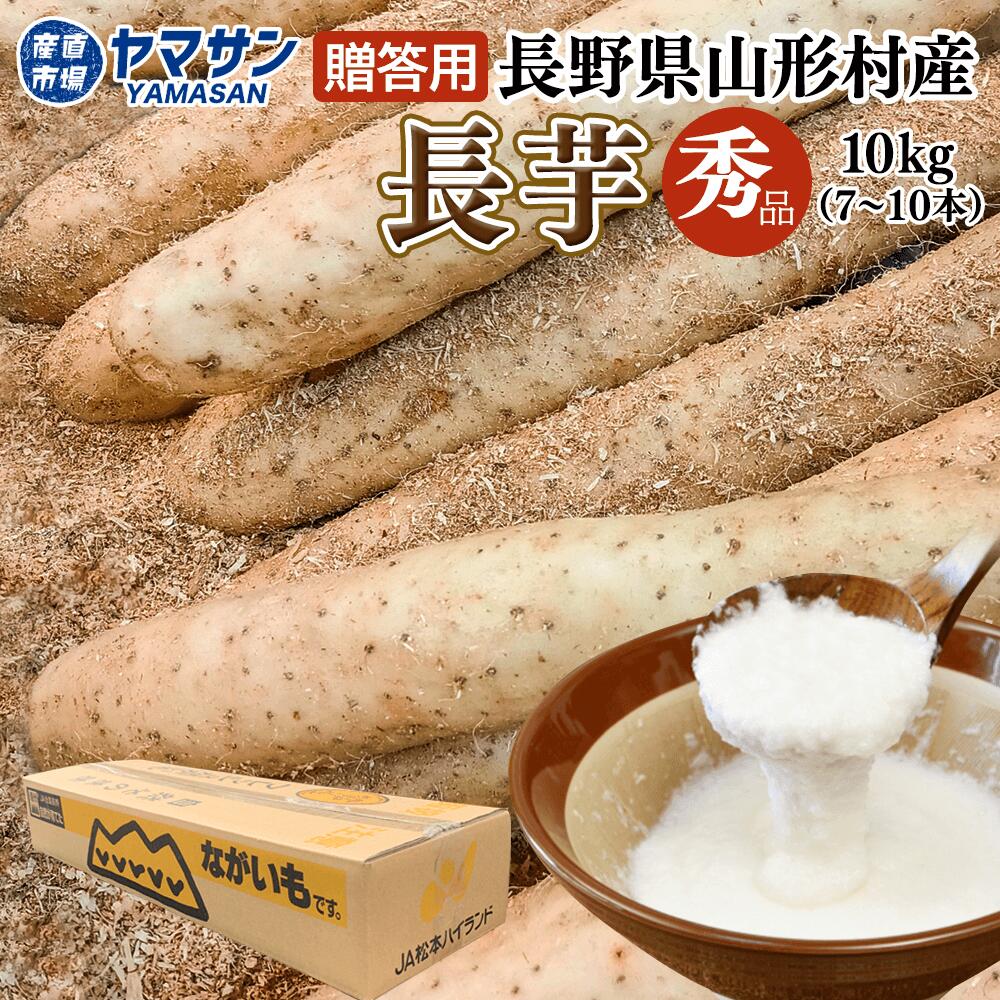 長野県 山形村産 長芋 【秀品】 10kg（7～10本）10 キロ 贈答用 ながいも ギフト プレゼント 長いも 山形村 取り寄せ 産直市場ヤマサンのサムネイル