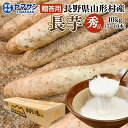 長野県 山形村産 長芋 【秀品】 10kg（7～10本）10 キロ 贈答用 ながいも ギフト プレゼント 長いも 山形村 取り寄せ 産直市場ヤマサン