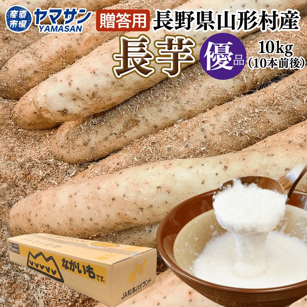 自然薯(じねんじょ) 訳あり800g前後【送料無料！！】