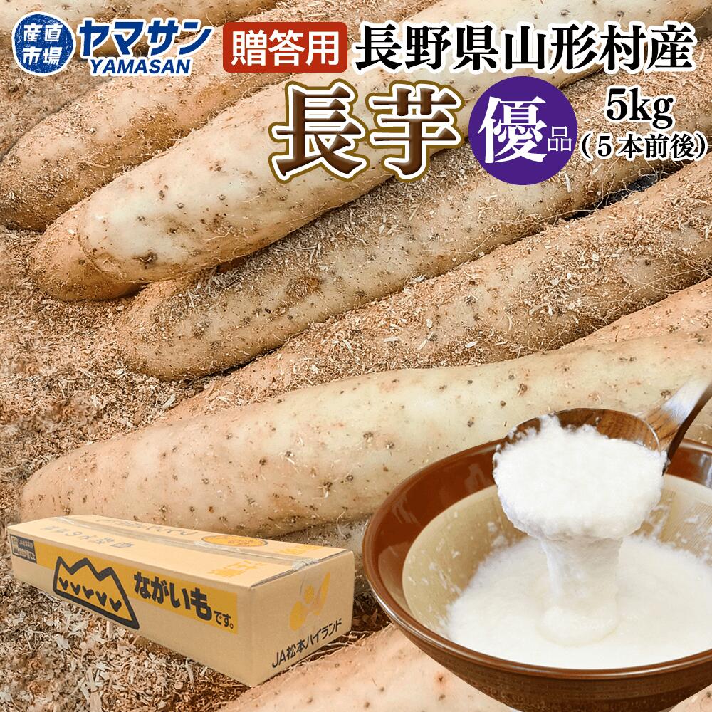 長野県 山形村産 長芋 春掘り 【優品】 5kg（5本前後）5 キロ 贈答用 ながいも ギフト プレゼント 長いも 山形村 取り寄せ 産直市場ヤマサンのサムネイル