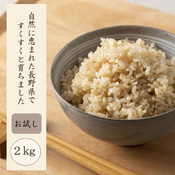 長野県 千曲市産 玄米 お試しサイズ 2kg 1
