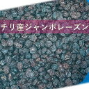 【送料無料】チリ産 フレーム ジャンボレーズン オイルコート 干しぶどう 10kg 業務用 大容量  ...