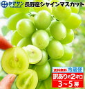 ★訳あり特価★長野産 シャインマスカット 訳あり 約 2kg (3~5房) 送料無料 2キロ ぶどう ブドウ 産地直送 長野 信州 訳ありシャインマスカット 皮ごとそのまま食べれる 高糖度 訳有り品 訳アリ品 ご家庭用 ご自宅用 訳アリ レビュー高評価 産直市場ヤマサン