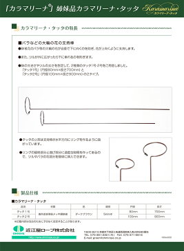 【カラマリーナ】バラなどの大輪の花の支持棒「カラマリーナ・タッタ」1号2号　ダークブラウン【RCP】