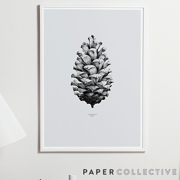 【店舗クーポン発行中】PAPER COLLECTIVE パインコーン 松ぼっくり グレー04001 50x70cm PIN CONE ペーパーコレクティブ