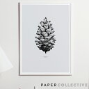 PAPER COLLECTIVE パインコーン 松ぼっくり グレー04001 50x70cm PIN CONE ペーパーコレクティブ