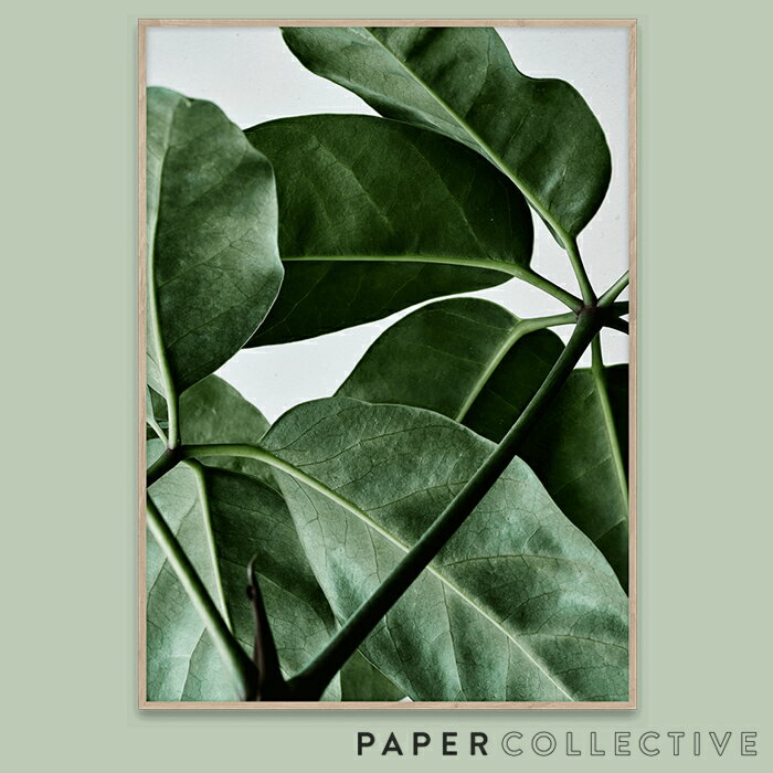 PAPER COLLECTIVE　GREEN HOME 01/グリーンホーム01　50x70cm　08107ペーパーコレクティブ/Riikka Kantinkoski/葉/観葉植物/ポスター/北欧/インテリア