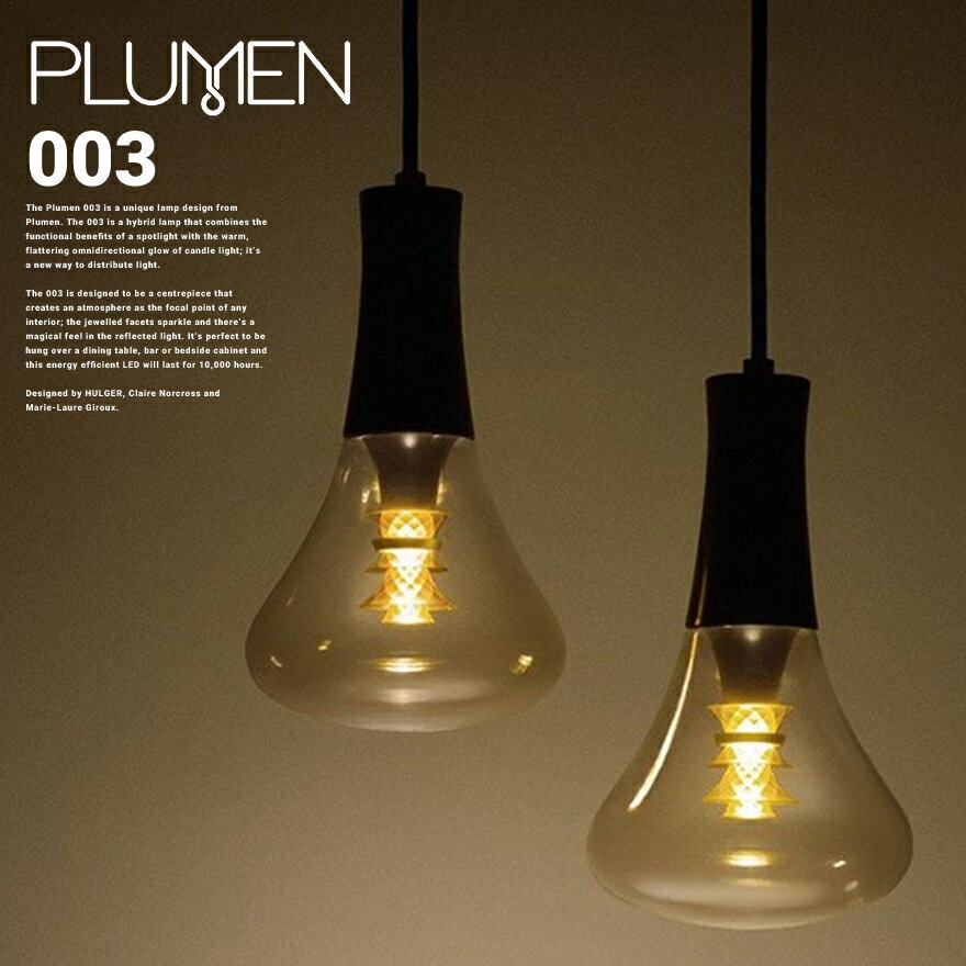 plumen プルーメン Plumen 003 Pendant Set（プルーメン 003 ペンダントセット）ペンダントランプ ダウンライト