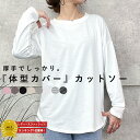 【半額★1590円～！クーポンで！】 【楽天1位】カットソー 長袖 レディース トップス ロンt オーバーサイズ 無地 重ね着 シンプル クルーネック 春 (送料無料)[郵2]^t778^