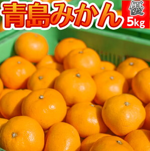 青島みかん【予約開始】発送12月中旬【送料無料(北海道1000円・沖縄不可)】青島みかん 優 5kg みかん専門農家直売【甘くなるまでじっくり熟成★】静岡ブランドみかん 西浦みかん 高級 青島ミカン 青島 静岡 みかん ミカン 甘いみかん 美味しいみかん 5kg