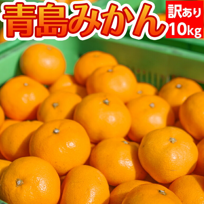 青島みかん【予約開始】発送12月中旬【送料無料(北海道1000円・沖縄不可)】青島みかん 訳ありぽん 10kg みかん専門農家直売【訳ありみかん】静岡ブランドみかん 西浦みかん 高級【訳ありミカン わけありみかん 訳あり みかん ミカン 甘いみかん 10kg】