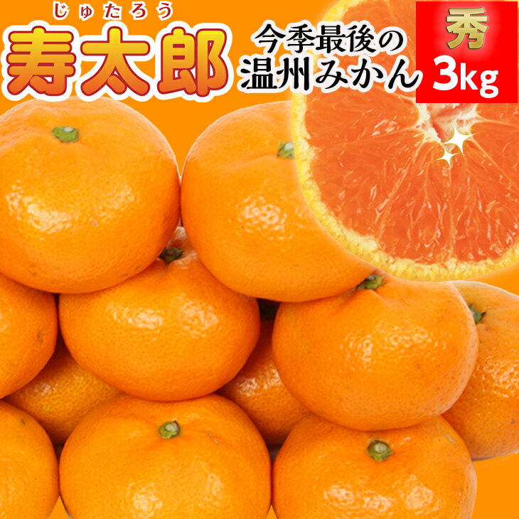 寿太郎★秀 3kg【予約開始】【送料無料(北海道1000円・沖縄不可)】寿太郎みかん 【甘くなるまでじっくり熟成★】免疫力アップ ビタミンC果物 静岡ブランドみかん 西浦みかん 甘いみかん 甘いミカン 美味しいみかん おいしいみかん 高級みかん 3kgのサムネイル