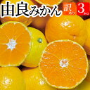 【予約 10月中旬発送】由良みかん 訳あり不揃い 3kg【送料無料(北海道770円・沖縄不可)】ゆら早生みかん 訳有り 3kg みかん専門農家直売【訳あり】静岡...