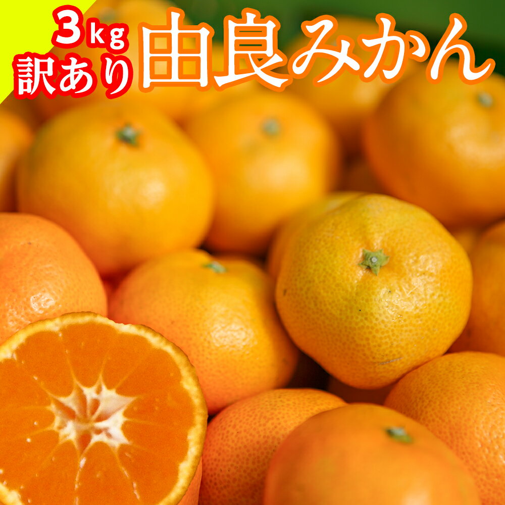 由良みかん【予約受付中】10月中旬発送【送料無料(北海道1000円・沖縄不可)】由良みかん 訳ありぽん 3kg みかん専門農家直売【訳ありみかん】静岡ブランドみかん 西浦みかん 高級【訳ありミカン わけありみかん 訳あり みかん ミカン 甘いみかん 美味しいみかん 3kg】