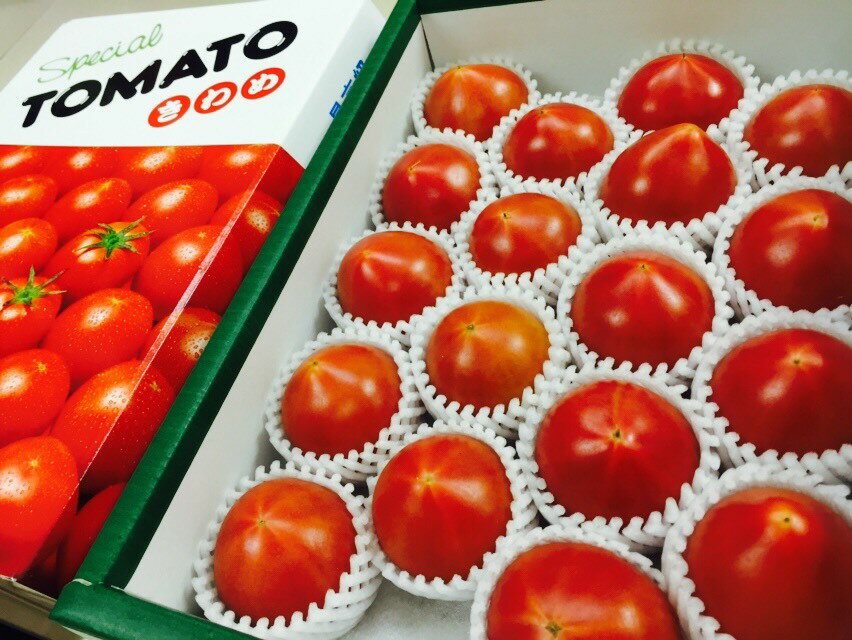 【特選】ギフト フルーツトマト 加藤農園 よっちゃんのきわめ トマト 送料無料 あすつく