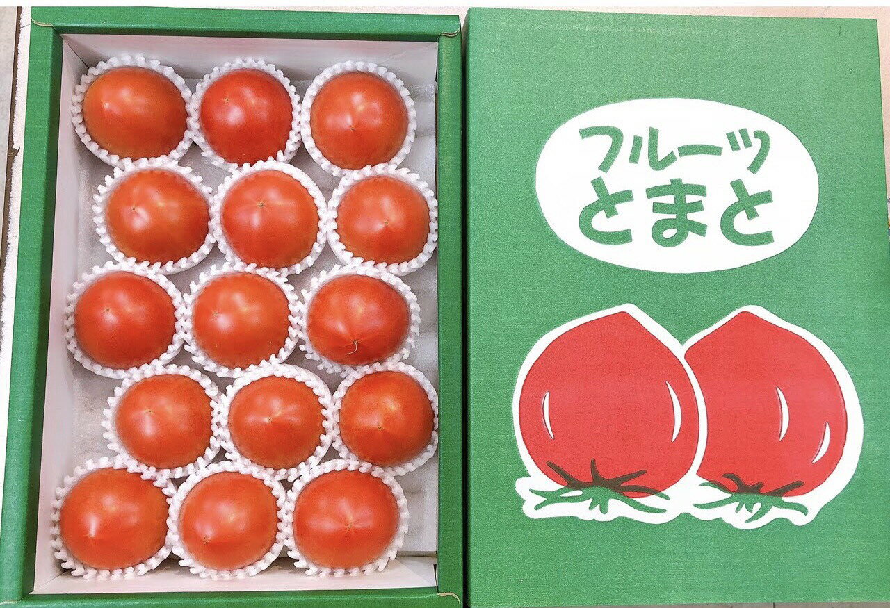 ギフト 愛知県産 フルーツトマト 加藤農園 よっちゃんのきわめ きわめ トマト 送料無料 あすつく